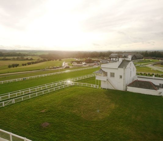 Princes Stand and Lawn.jpg