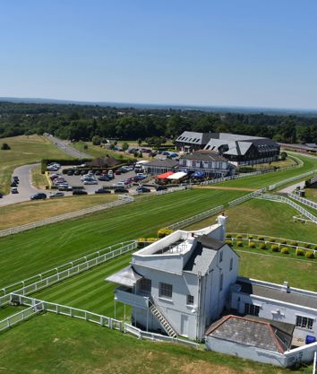 Epsom - Aerial (1).JPG