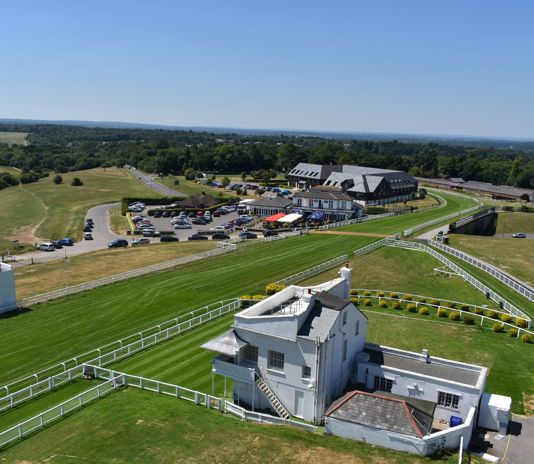 Epsom - Aerial (1).JPG